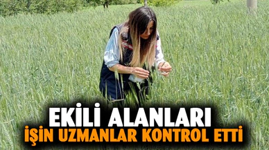 Afyonkarahisar'da ekili alanları işin uzmanları kontrol etti