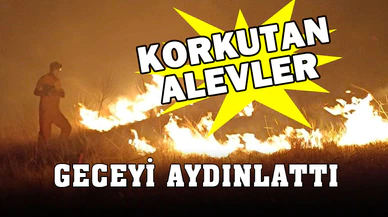 Arazi yangını ormanlık alana sıçramadan söndürüldü