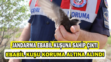 Jandarmanın bulduğu yaralı yavru Ebabil kuşu koruma altına alındı   