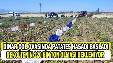 Dinar’da patates hasadı başladı  