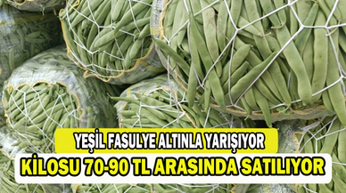 Afyonkarahisar'da yeşil fasulye kalite ve fiyatıyla altın çağını yaşıyor   