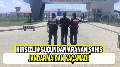 2 ayrı suçtan hapis cezasıyla aranan şahsı jandarma köyde yakaladı