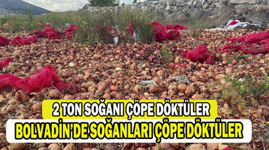 Yaklaşık 2 ton kuru soğanı boş araziye döküp gittiler   