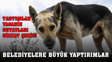 Tartışma yaratan kanunun detayları