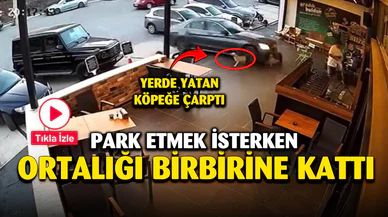 Park etmek isterken markete daldı