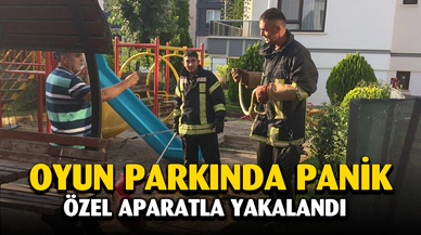 Çocuk oyun alanında yılan paniği
