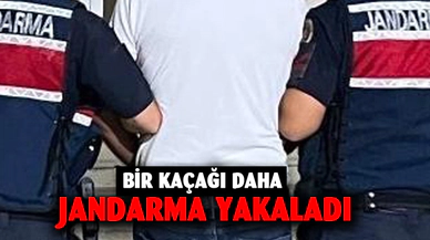 Hırsızlık suçundan aranan şahsı jandarma  kıskıvrak yakaladı