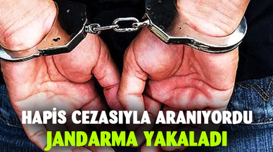 Hapis cezasıyla aranan şahsı jandarma yakaladı