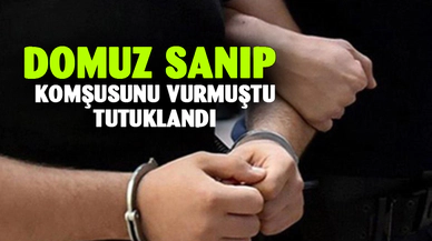 Komşusunu domuz sanarak vuran şahıs tutuklandı