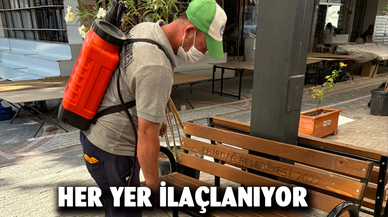 Çöp kovaları ve mazgallar ilaçlanıyor