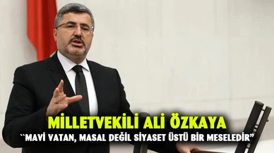 Milletvekili Ali Özkaya: "Mavi Vatan, masal değil siyaset üstü bir meseledir"
