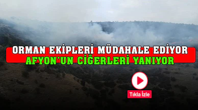 Afyonkarahisar’da ot ve çalıların bulunduğu dağlık alanda yangın çıktı