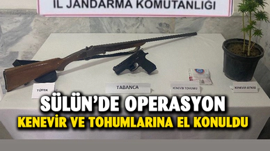 Sülün’de operasyon kenevir bitkisi ve tohumları ele geçirildi