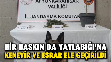 Jandarma yaptığı baskında kenevir ve esrar ele geçirdi