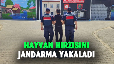 Afyonkarahisar’da kaçak hırsız yakalandı