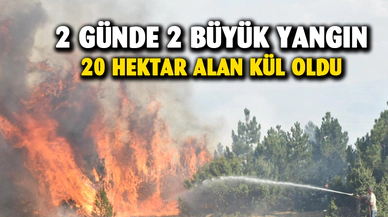 Afyonkarahisar'da 20 hektar alan kül oldu