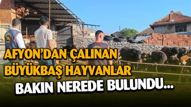 Afyonkarahisar’da çalınan büyükbaş hayvanlar Isparta’da bulundu