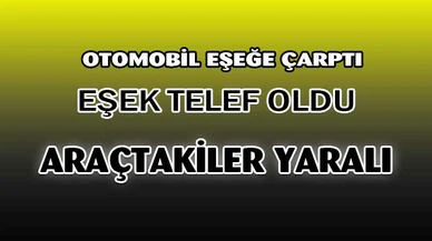 Eşeğe çarpan otomobilde 2 kişi yaralandı