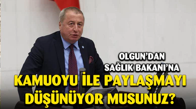 İYİ Partili Olgun soru önergesi verdi