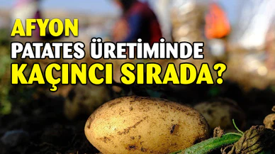 Afyon, patates üretiminde kaçıncı sırada?