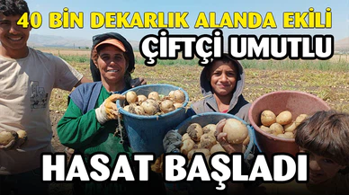 40 bin dekarlık alanda hasat başladı