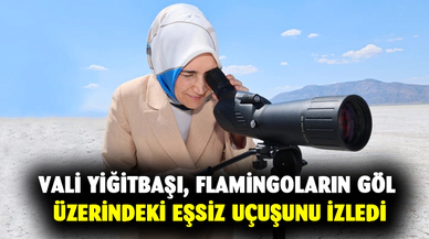 Vali Yiğitbaşı, flamingoların göl üzerindeki eşsiz uçuşunu izledi