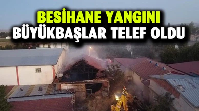 Afyonkarahisar'da besihane yangını