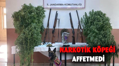 Zehir tacirlerinin sobaya sakladıkları esrarı narkotik köpeği buldu