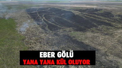 Eber Gölü'nde yangın sonrası görüntüler içleri sızlattı