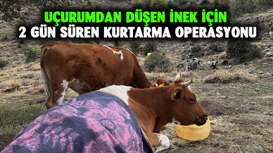 Uçurumdan düşen inek için 2 gün süren kurtarma operasyonu