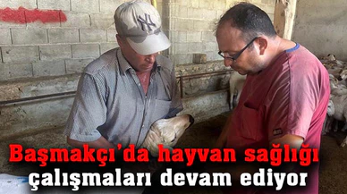 Başmakçı’da hayvan sağlığı çalışmaları devam ediyor
