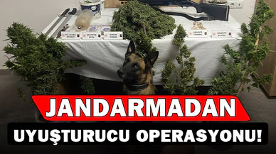 Jandarmadan uyuşturucu operasyonu:6 gözaltı