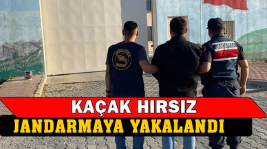 Afyonkarahisar'da kaçak hırsız yakalandı