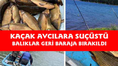 Afyonkarahisar'da kaçak avcılara suçüstü