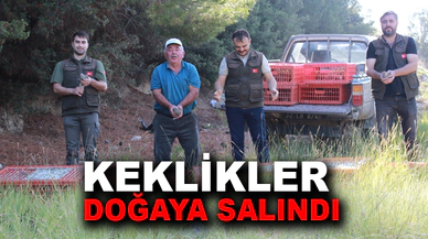 350 keklik doğaya salındı