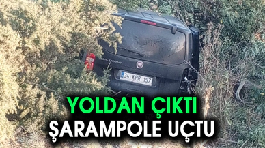 Afyonkarahisar'da kontrolden çıkan araç kaza yaptı