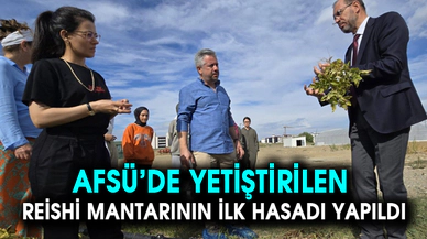 AFSÜ’DE YETİŞTİRİLEN REİSHİ MANTARININ İLK HASADI YAPILDI