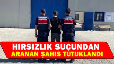 Hırsızlık suçundan aranan şahıs tutuklandı