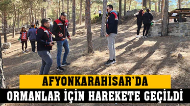 Afyonkarahisar’da ormanlar temizlendi