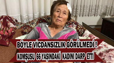 66 yaşındaki kadını sopa ve bisiklet ile acımasızca darp etti