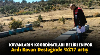 Arılı Kovan Desteği Artırılıyor