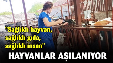 "Sağlıklı hayvan, sağlıklı gıda, sağlıklı insan"