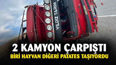 Afyon'da iki kamyon çarpıştı 1 ölü