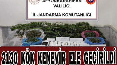 Jandarmadan uyuşturucu ve tarihi eser operasyonu