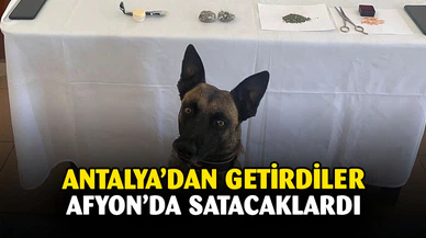 Jandarmadan zehir tacirlerine geçit yok
