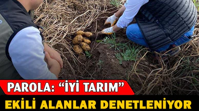 Afyonkarahisar'da tarımsal faaliyetler denetleniyor
