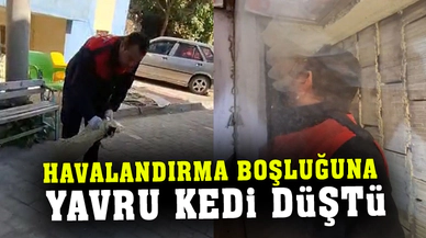 Apartman boşluğuna düşen yavru kediyi itfaiye ekipleri kurtardı