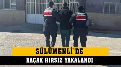 Afyonkarahisar’da kaçak hırsız Sülümenli'de yakalandı