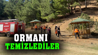 Afyonkarahisar'da ormanı temizlediler
