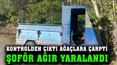 Ağaca çarpan patpat sürücüsü ağır yaralandı